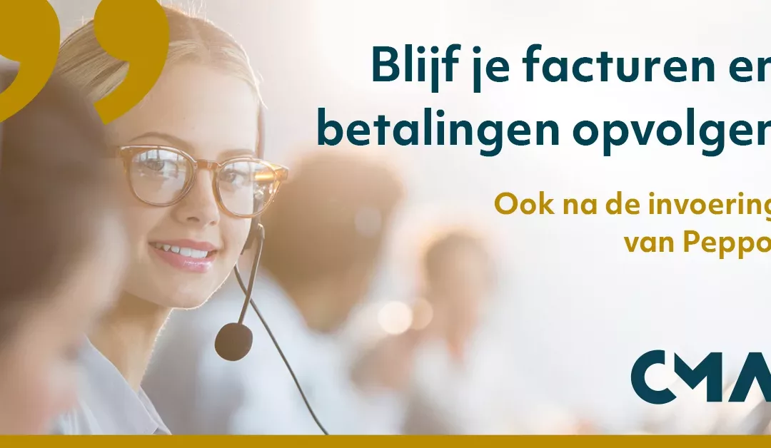 Blijf je betalingen opvolgen, ook na de invoering van Peppol.